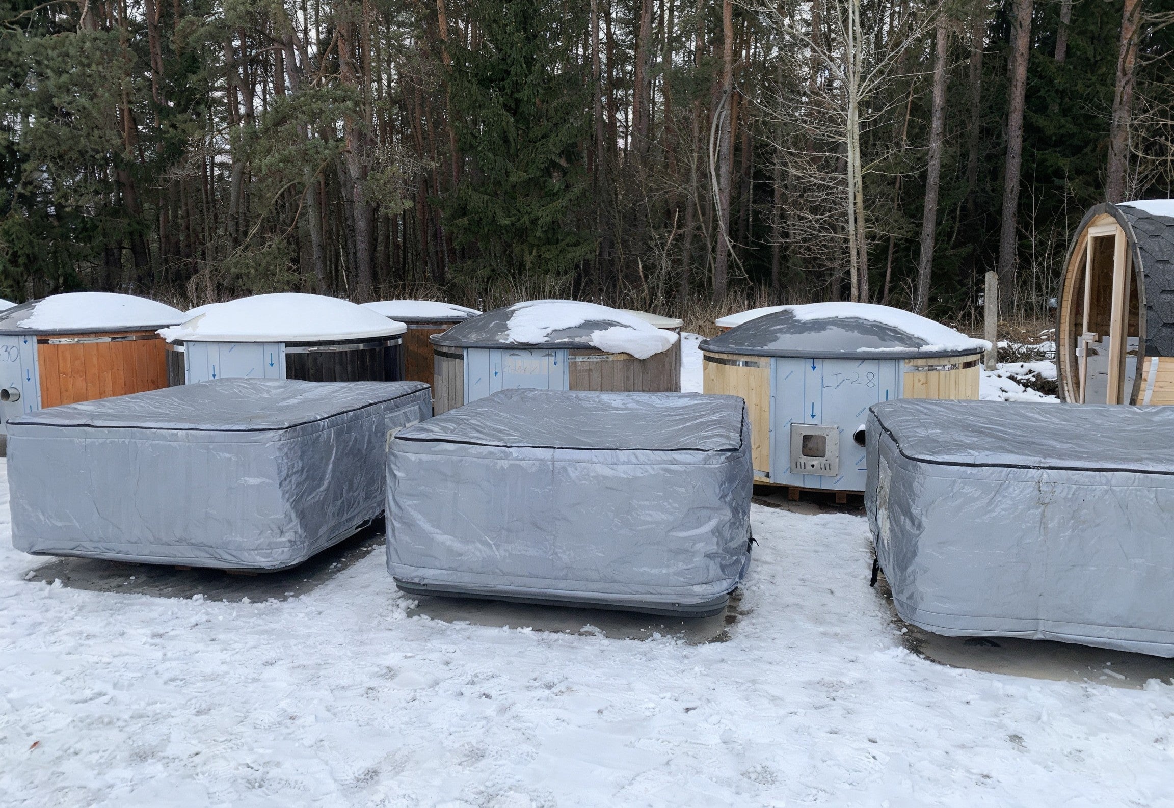 Arktik ulkoporeallas